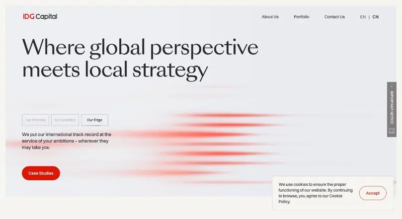 IDG Capital website homepage (WordPress website)